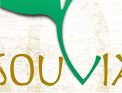 Firedrum Internet Marketing Web Design and Development Portfolio featuring Souvia Tea