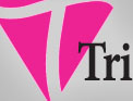 Firedrum Internet Marketing Web Design and Development Portfolio featuring tri-Side Consulting