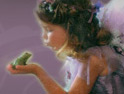 Firedrum Internet Marketing Web Design and Development Portfolio featuring Dreamers Event Planners